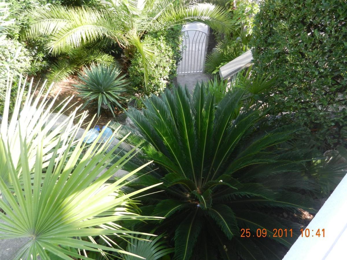 Apartments Sino More Tivat Zewnętrze zdjęcie