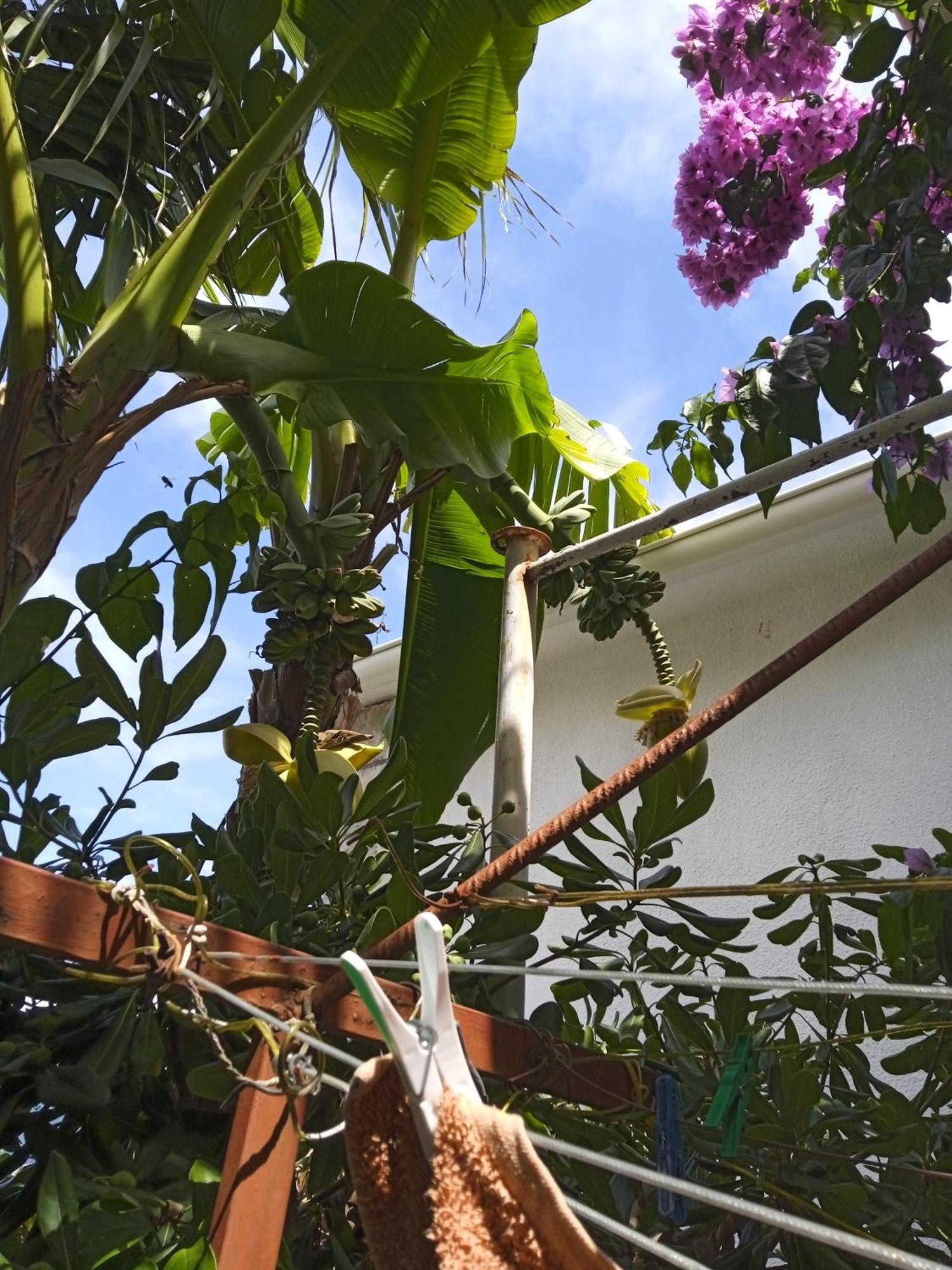 Apartments Sino More Tivat Zewnętrze zdjęcie